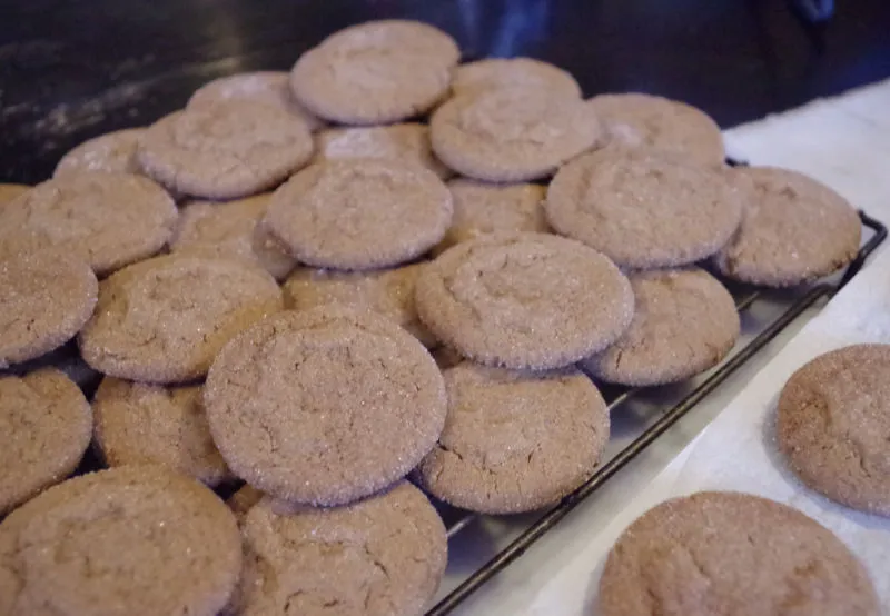 Gingerbread Cookies