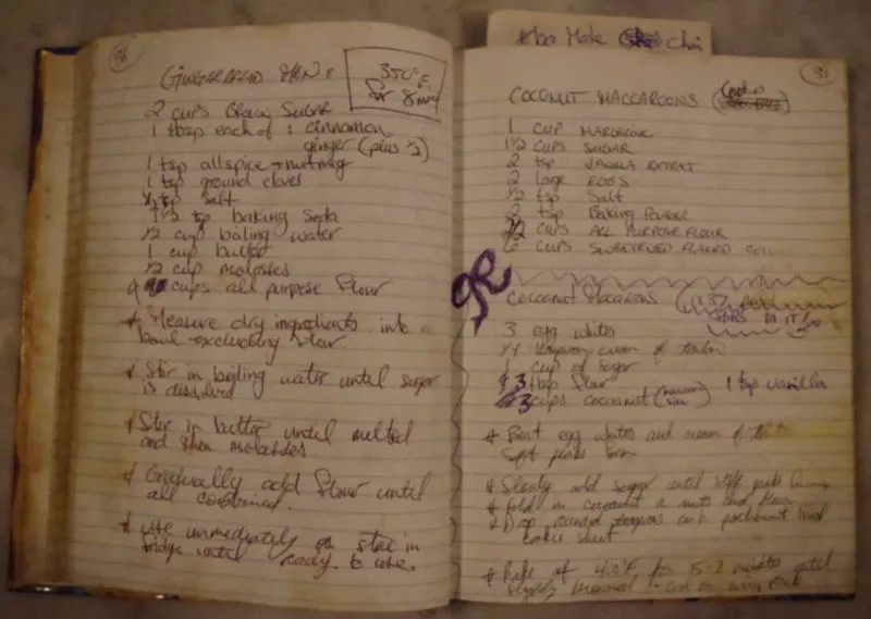 Original handwritten book